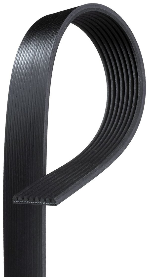 Cinghia motore Cod.8PK1646